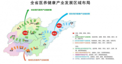  摸索推广“医养互